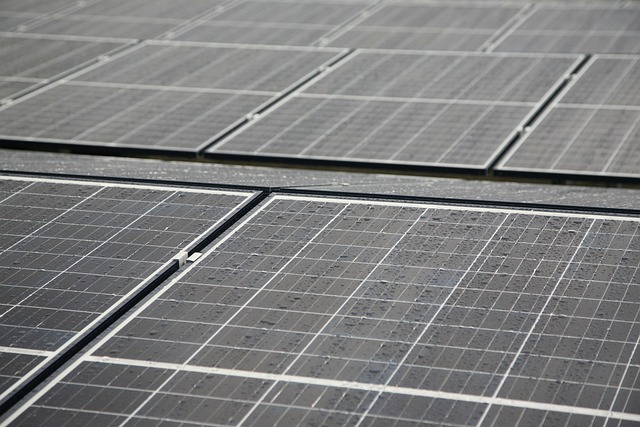 Homeowner reviewing solar energy integration reports on tablet device in Canadian home