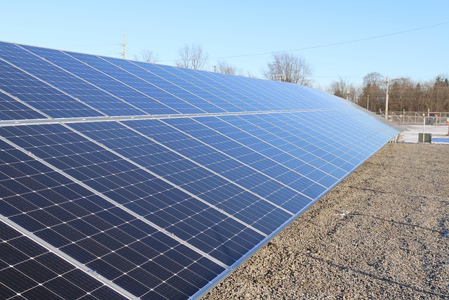 Energy systems specialist Marcus Ellison reviewing solar panel performance data on monitoring screen